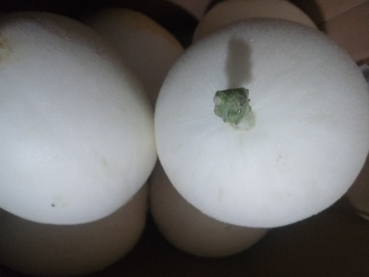 玉菇甜瓜特写图