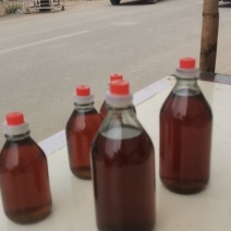 涡阳县新德村小磨香油店