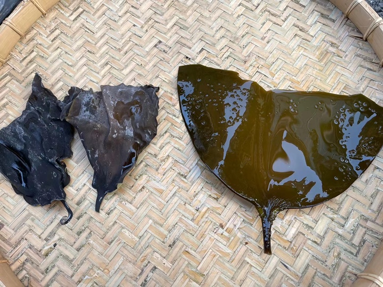 图表展示湿海带与干海带在碘、钙、铁、维生素C等营养成分上的对比 干海带与湿海带营养对比图