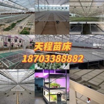 安平县天程农业设备厂