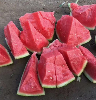 [8424西瓜批发]崇明岛西瓜,精品美都,8424价格0.99元/斤 - 一亩田