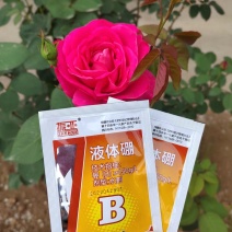 下单请联系客户，液体硼水溶肥30克/升