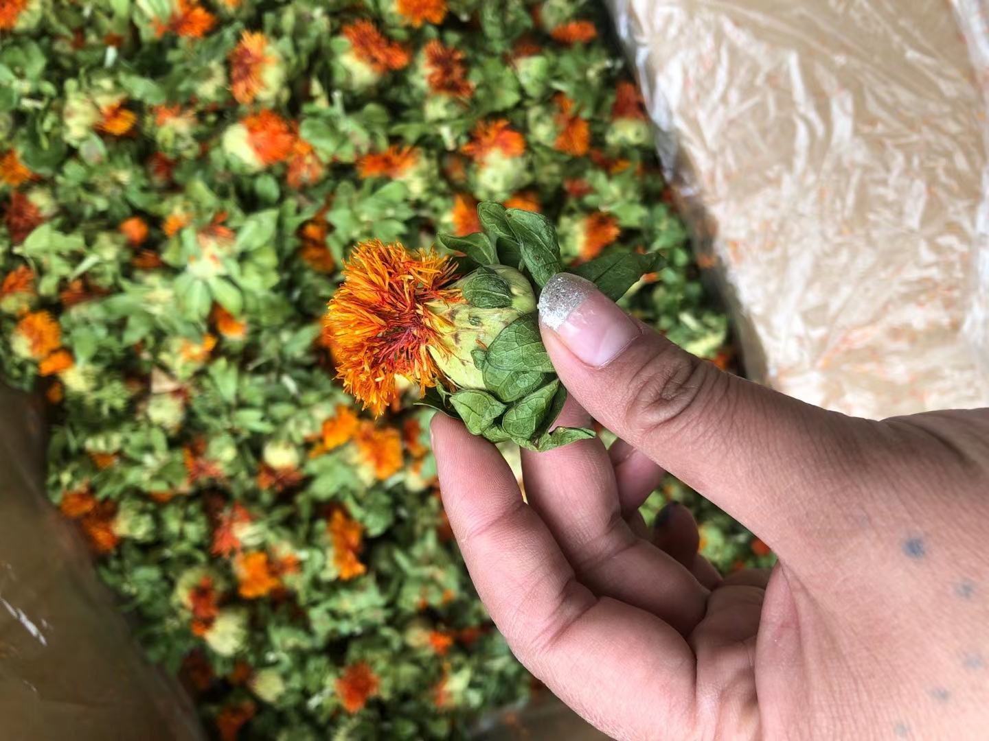 石榴与香料搭配的场景