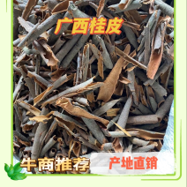 【广西桂皮】桂皮碎桂皮段桂通油桂产地发货