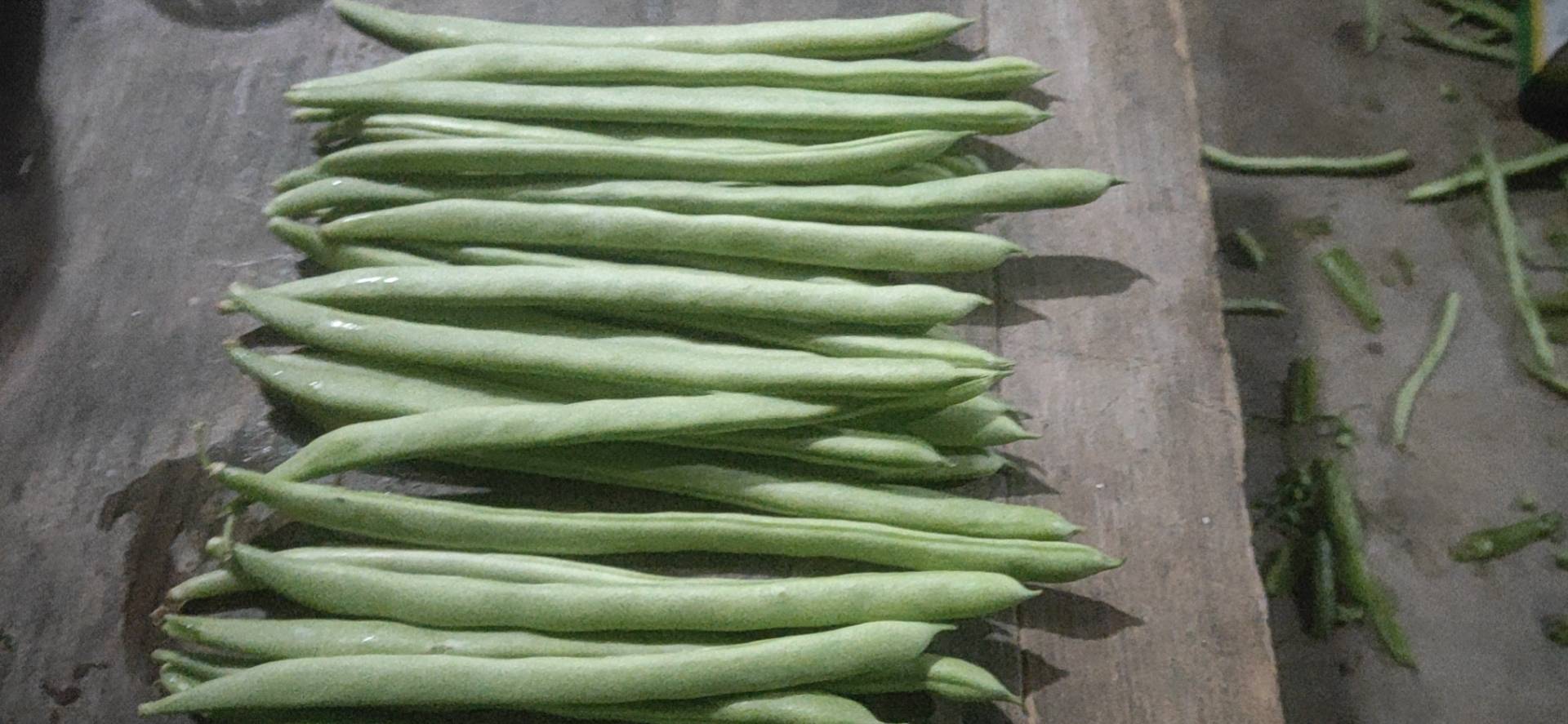 四季豆和长豆角在厨房中的摆放