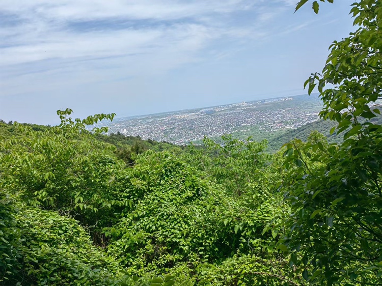 关岭断桥枇杷基地全景
