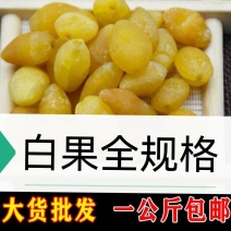 包邮白果，白果干，银杏果干，白果仁一手货源