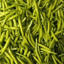 精品黄花菜欢迎各位老板下单