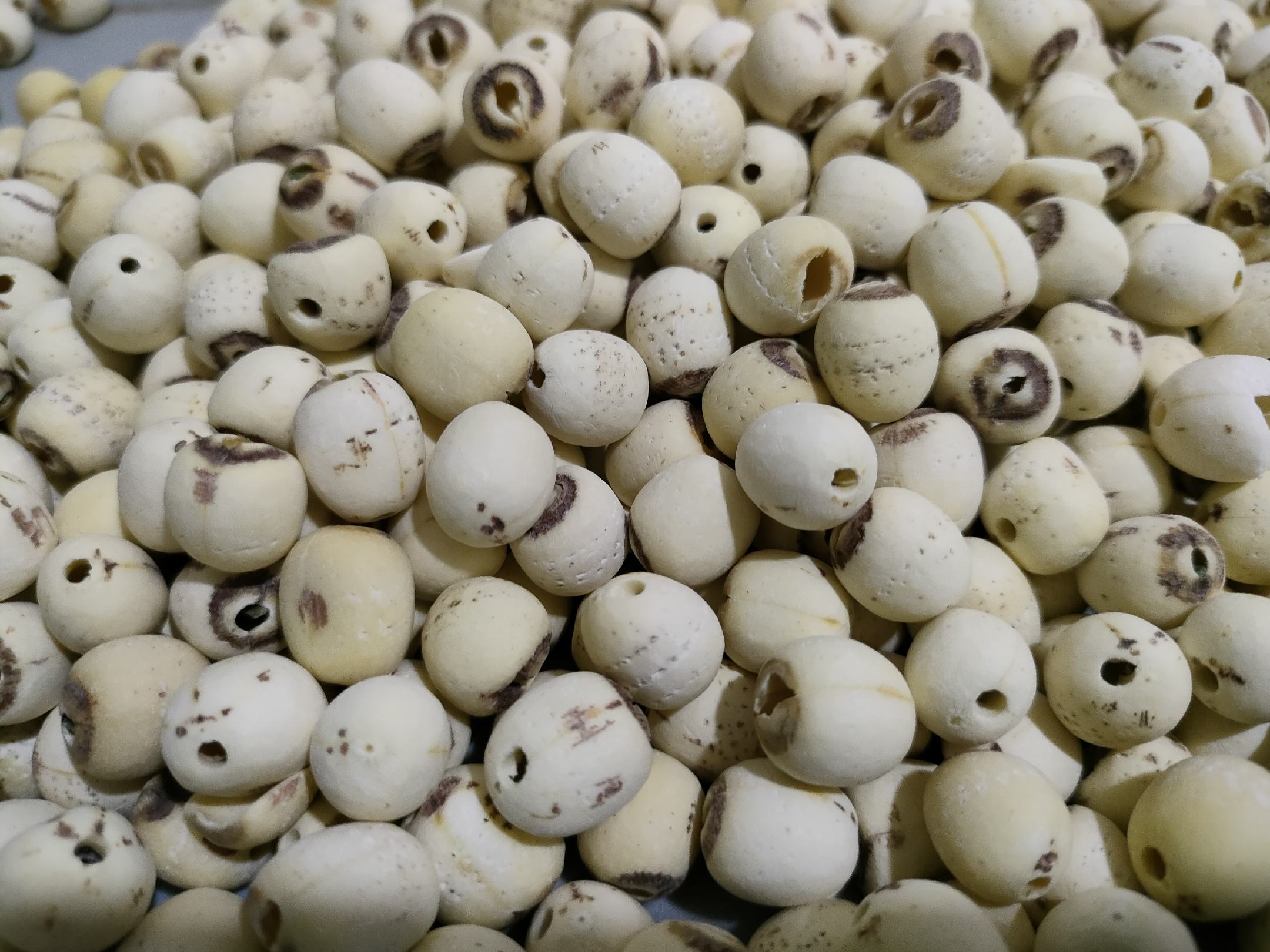 润肺食材全家福