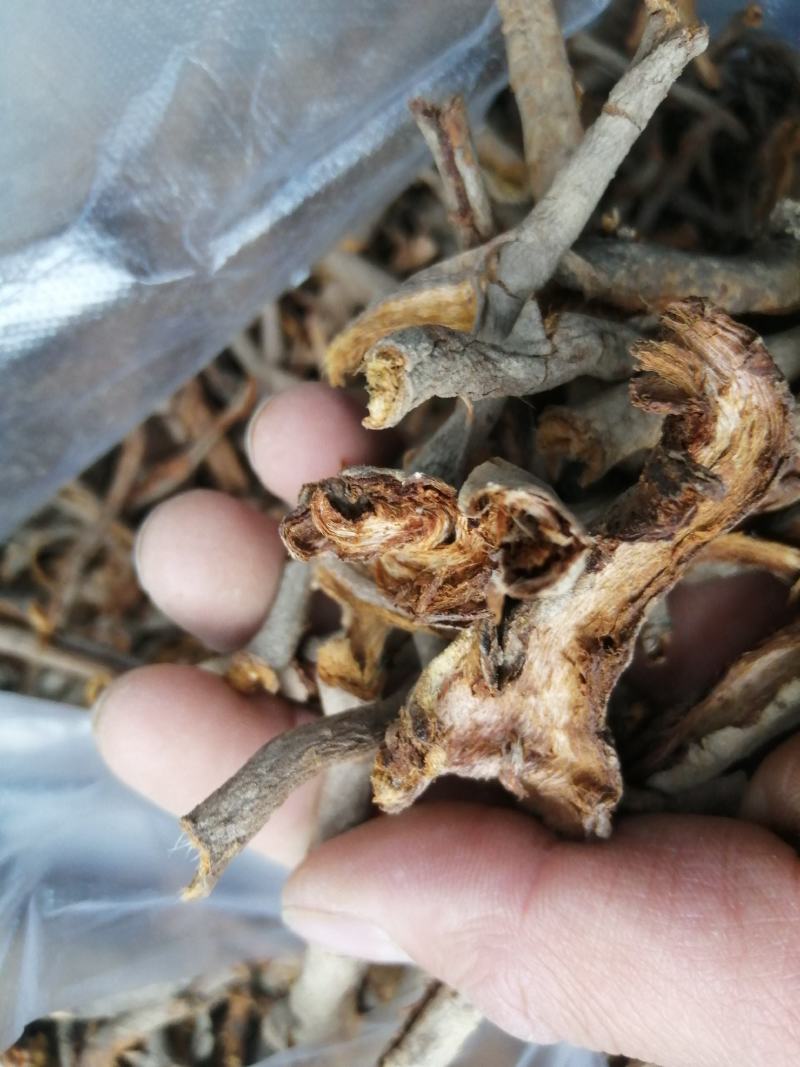 五味子根 南五味子根皮 野生中药材 一手货源 产地直供