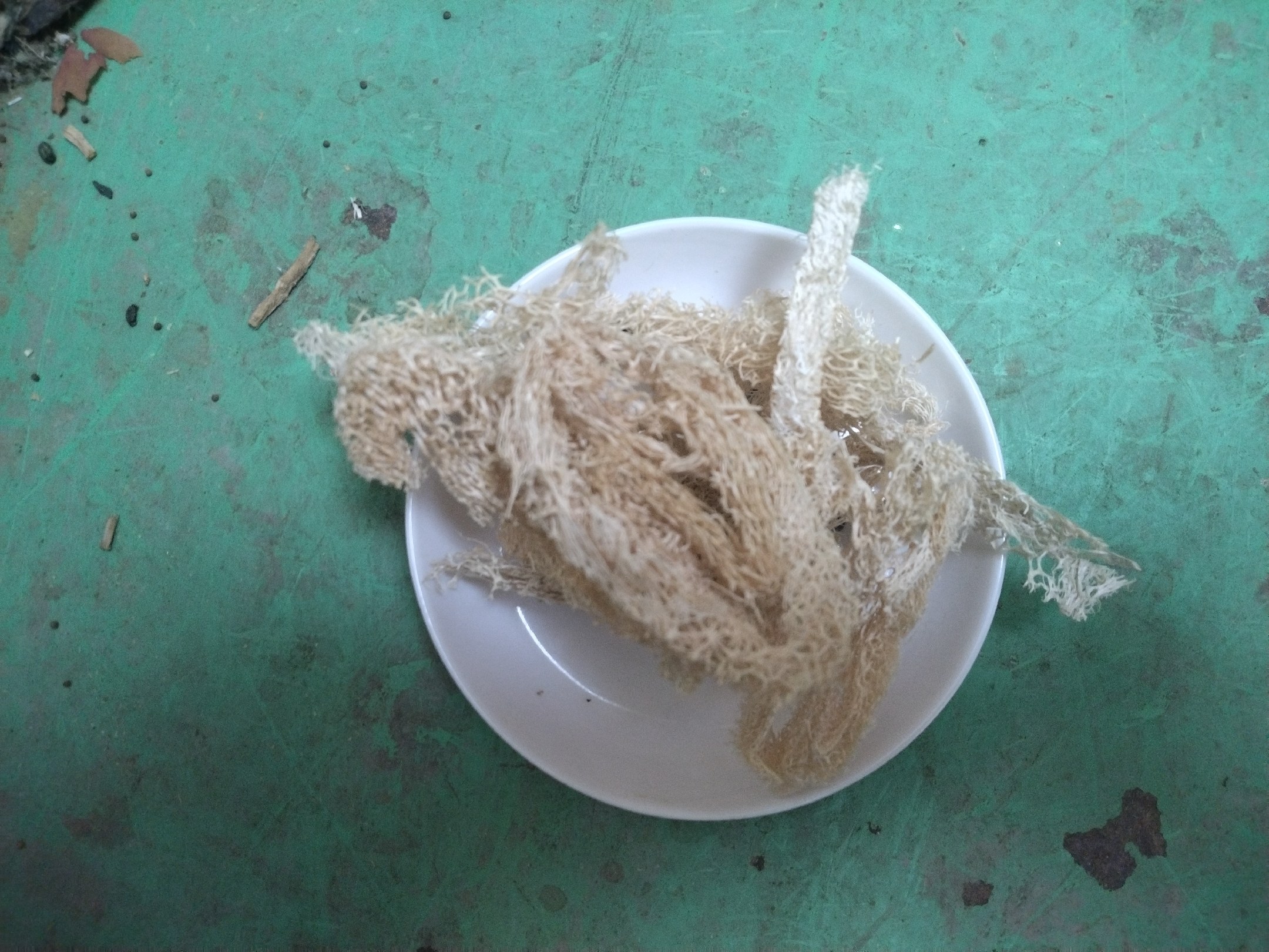 野菊花茶的冲泡过程,展示其清香与色泽,适合日常饮用 野菊花茶的冲泡图