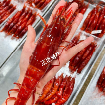 红魔虾特大甜虾刺身日料一手货源厂家批发