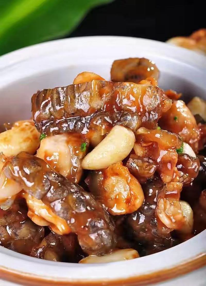 广东江门新会区鳄龟 50.00元/斤红烧焖鳄鱼肉