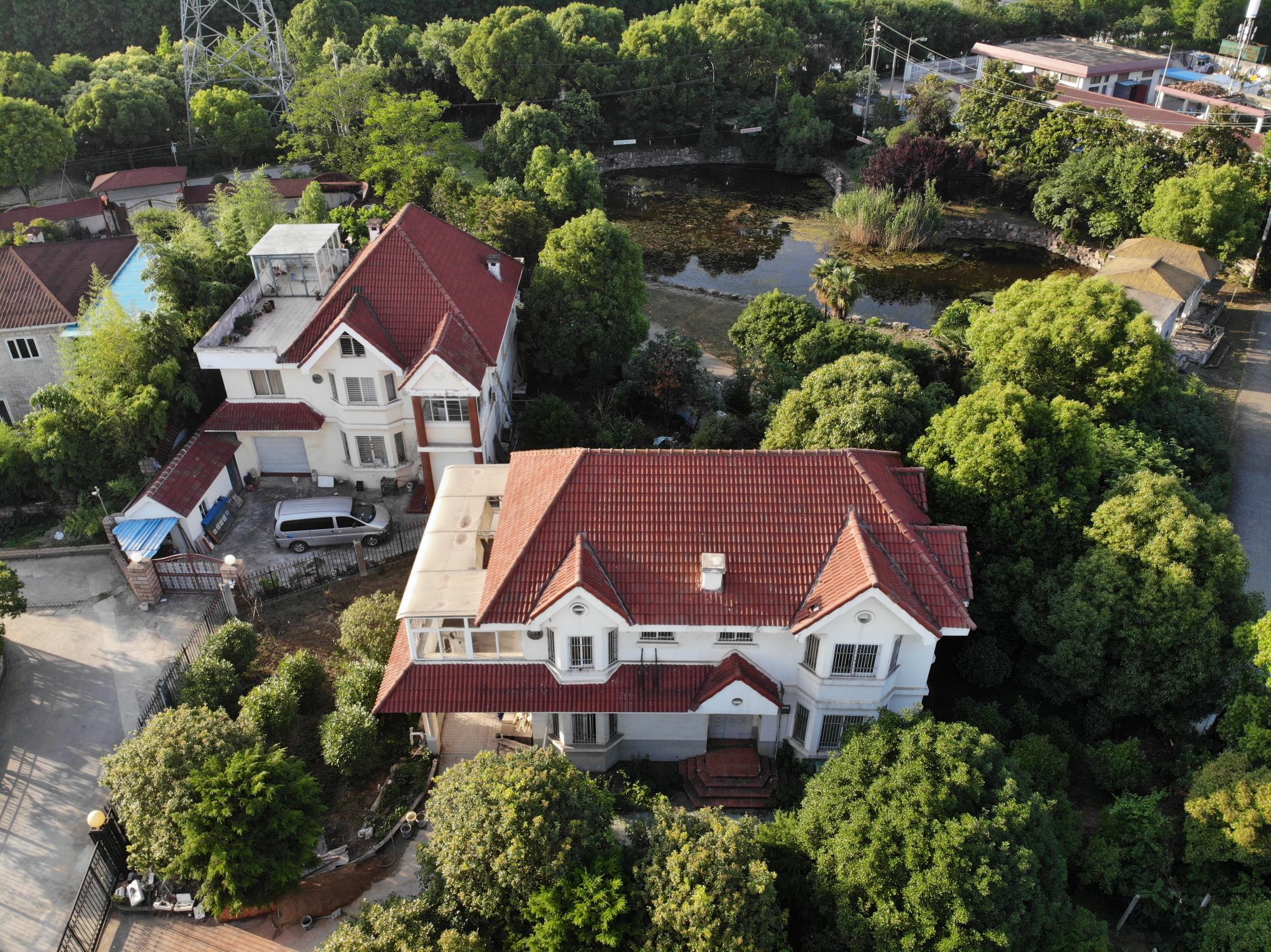 家庭客厅一角展示四季桂盆栽与其他绿植和谐搭配的场景，四季桂位于视觉中心，旁边配有茶几和书籍，营造出宁静雅致的生活氛围