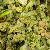 脱水蔬菜脆嫩爽口干花菜