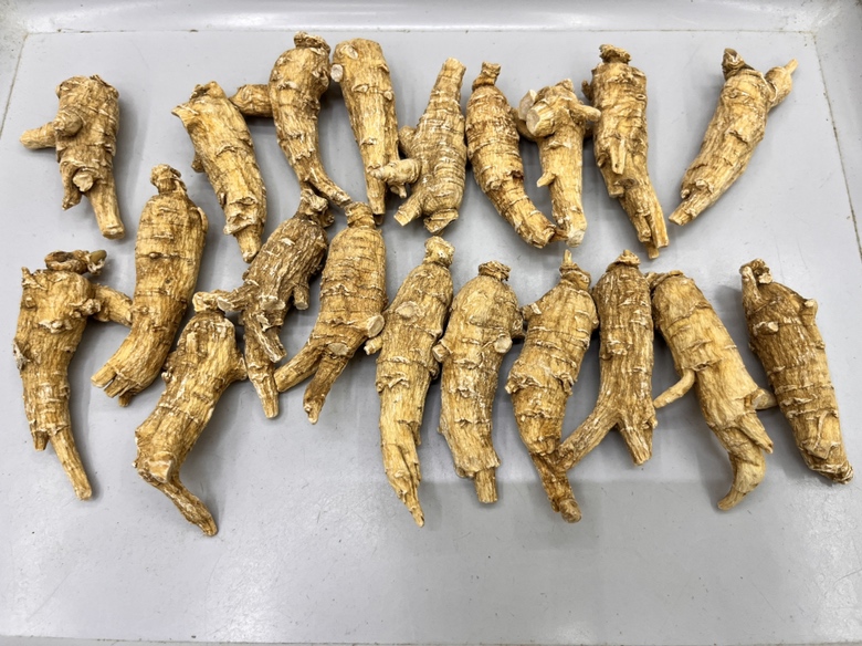 西洋参不同大小对比