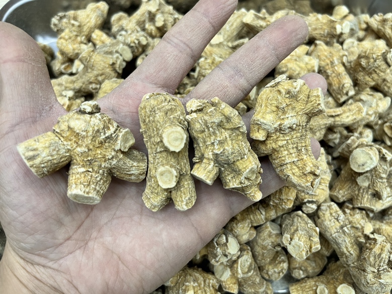 东洋参保存建议总结图