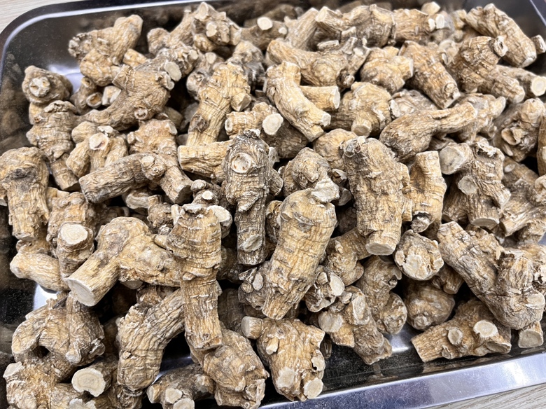 威斯康星西洋参植株与根系