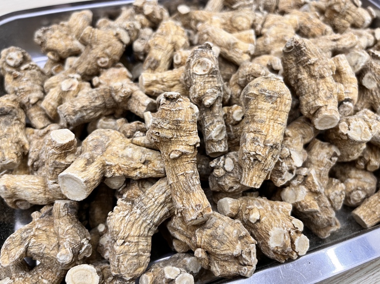高清微距摄影:干燥完整的西洋参生晒参根,表皮浅黄棕色,具密集横向环纹与纵向皱纹,断面淡黄白色,显粉性,可见放射状裂隙及淡黄色树脂道点,无硫熏痕迹,符合《中国药典》性状标准 西洋参生晒参药材特写