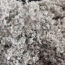 张家界莓茶藤茶芽尖龙须