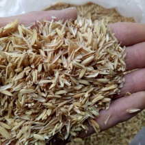 湖南谷壳（除尘过筛酒厂专用）