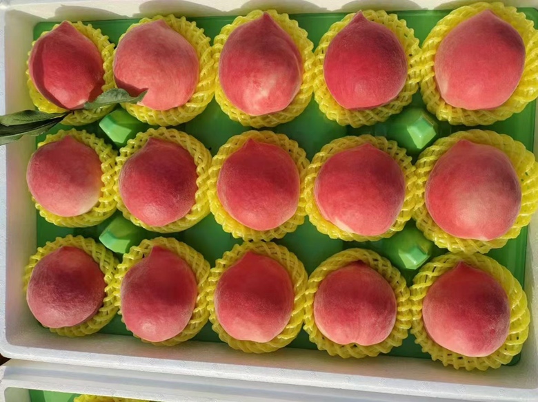 一个农村集市上的水果摊位,木质货架上整齐码放着多个白色纸盒装的精品蟠桃,每个盒子标注“一级中蟠11号”,旁边散装陈列着新鲜蟠桃,背景可见农民正在称重销售,顾客手持手机拍照 农贸市场摊位上摆放整齐的蟠桃礼盒