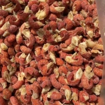 大量批发龙虾尾，有一级精品，有二级精品