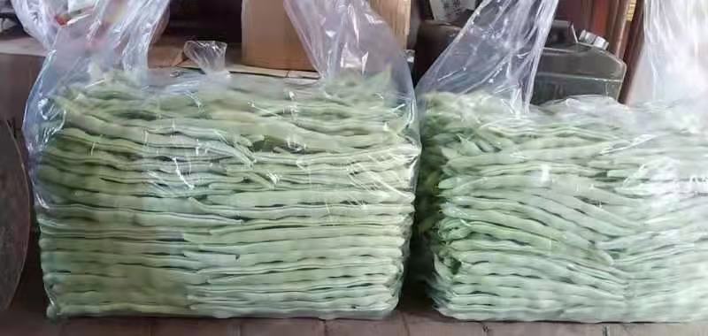 展示新鲜猪肚和泡发好的芸豆 猪肚与芸豆食材展示