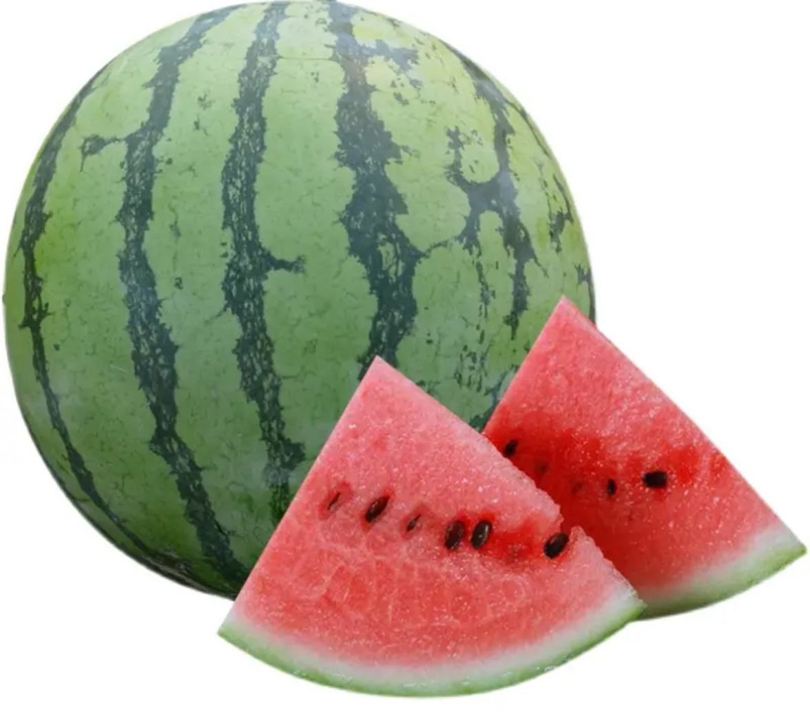 8424西瓜切面展示图