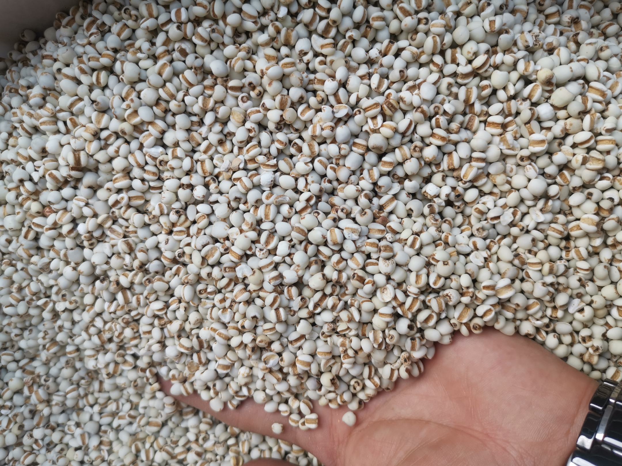 营养师在社区开展膳食指导讲座