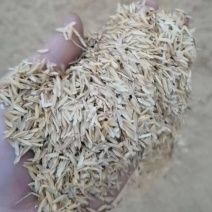 酿酒稻壳