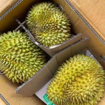 正宗榴莲一件代发24小时在线服务