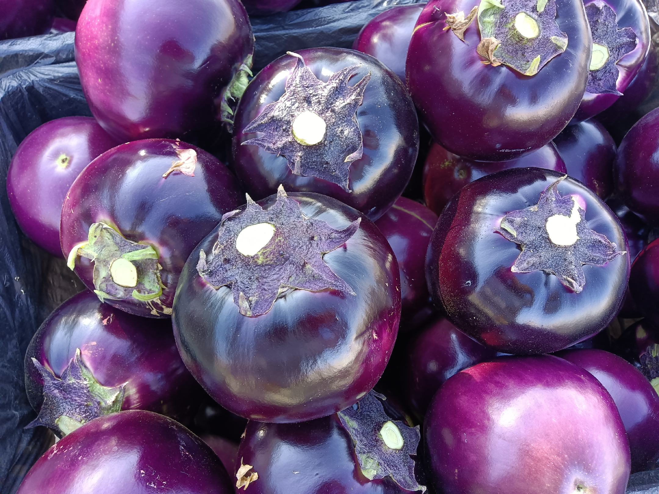 家庭厨房场景中的番茄成熟过程展示