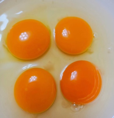 [柴鸡蛋批发]蓟县散养柴鸡蛋价格10.00元/斤 - 一亩田