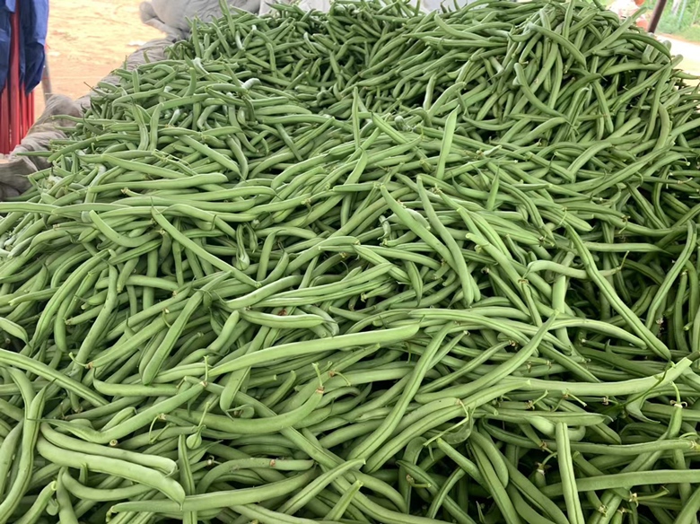 植物基食品展示图