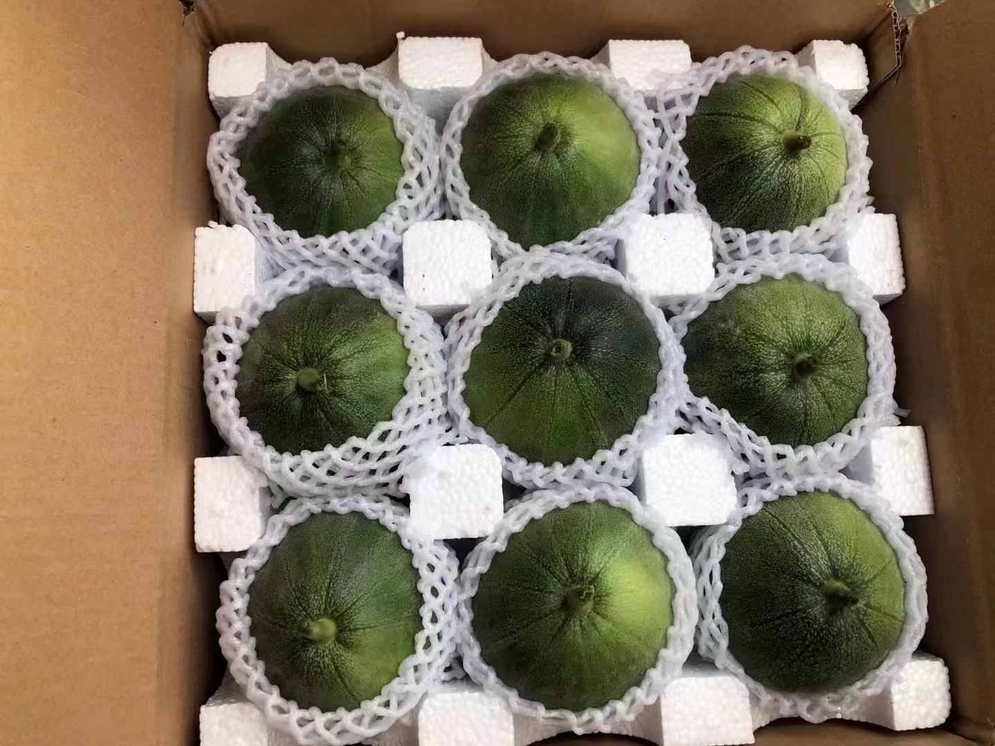 冷链包装车间