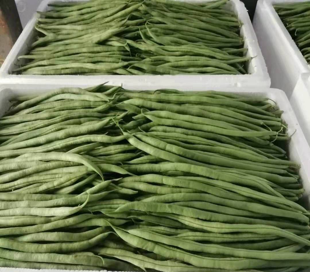 无筋豆烹饪图