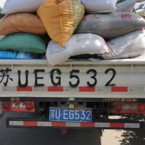 苏州油菜籽
