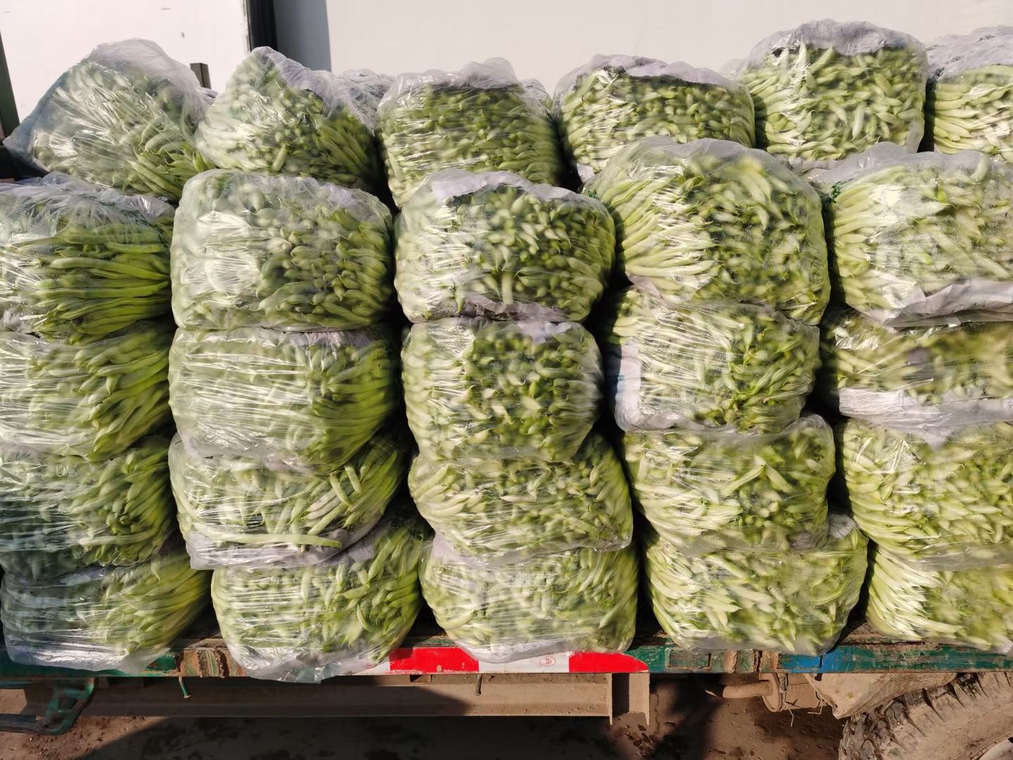 展示白不老在华东地区农贸市场销售情况及消费者反馈 白不老在华东地区农贸市场销售情况