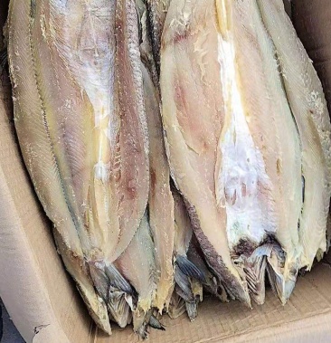 香梭鱼片一款标记好吃的一款微咸鱼长年供货产地直发