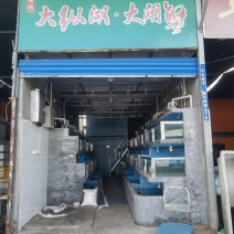 各类淡水鱼