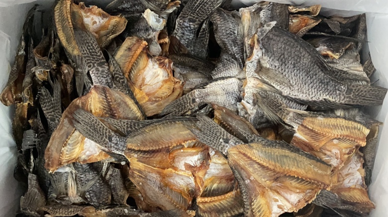 左:太平洋柔鱼(Todarodes pacificus)横切面,40×显微照片,显示平行肌纤维束与清晰Z线肌节结构;右:市售某品牌风琴鱿鱼片同倍率照片,呈现无序蛋白凝胶颗粒与不规则孔隙,无肌纤维走向,证实为鱼糜仿制品 真鱿鱼肌肉组织显微结构对比图