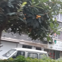 稻壳