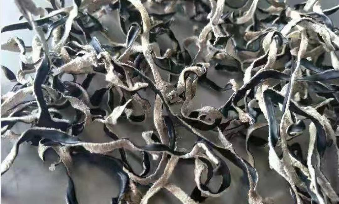 木耳营养成分柱状图