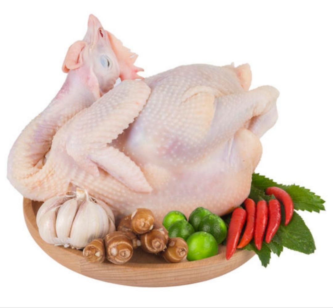 姜母与鸡肉翻炒图