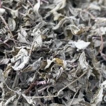 藤茶