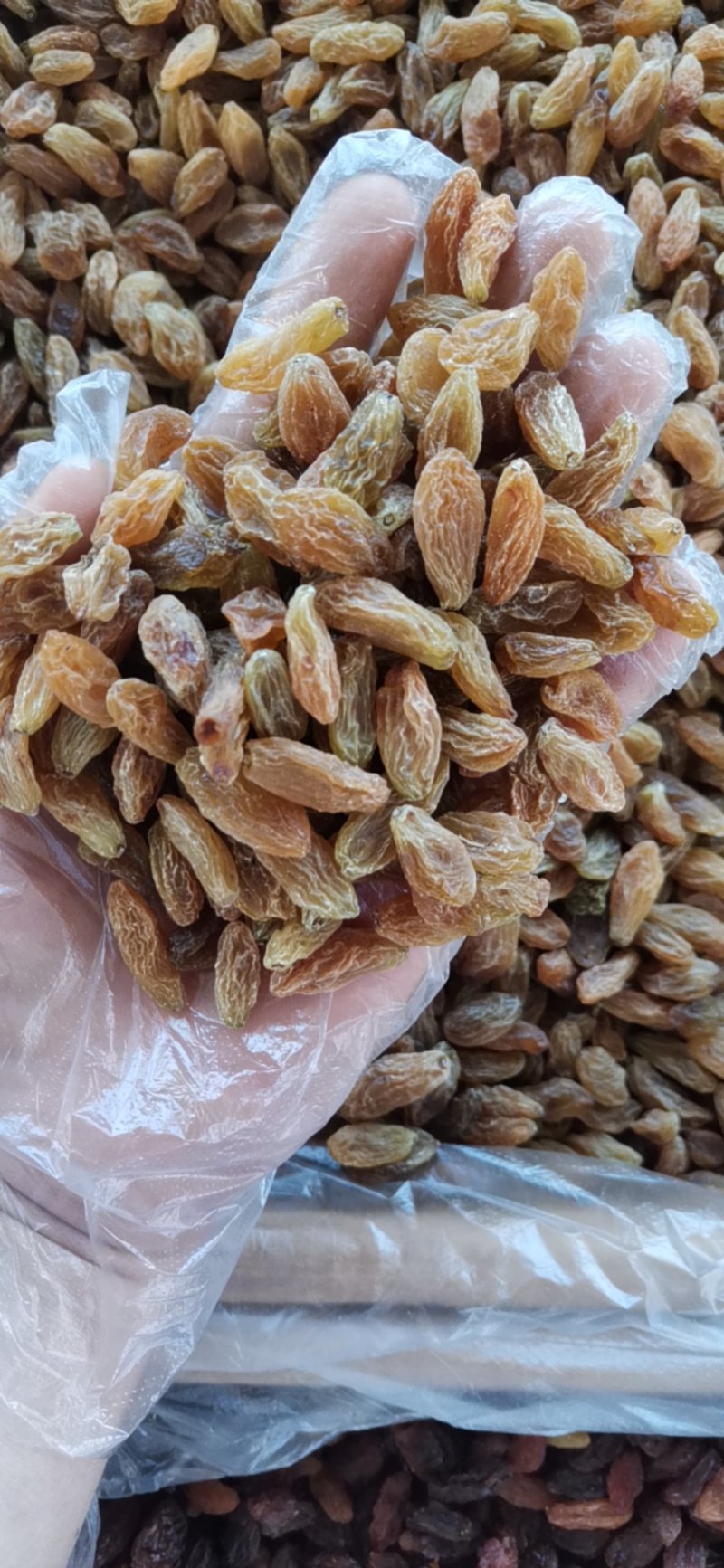 北京王葡萄干黄大颗粒一百克150粒无坏果颜色好看