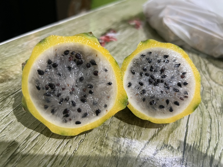 黄皮黄心火龙果与红皮红心火龙果并列对比图