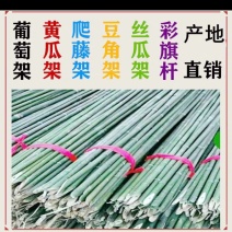 菜架竹南竹麻竹大批量供应优质各种大小竹子