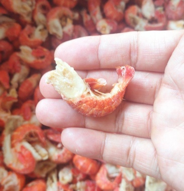 [虾尾批发]干冰龙虾尾价格680.00元/件 - 一亩田